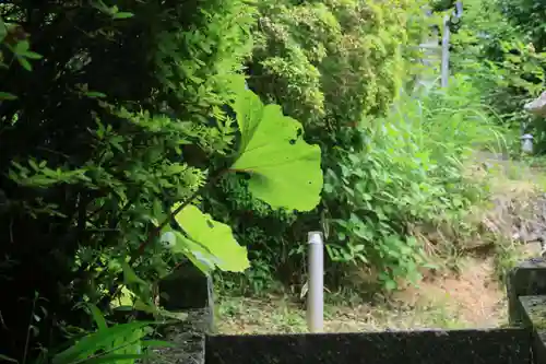 大六天麻王神社の自然