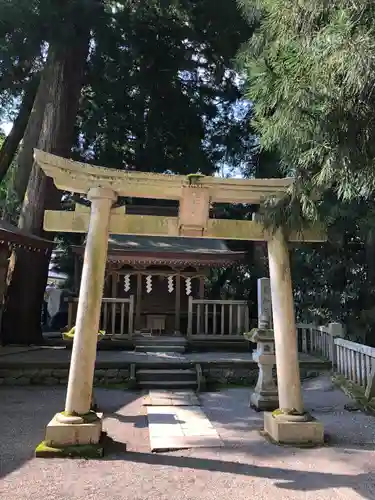 白山比咩神社の鳥居