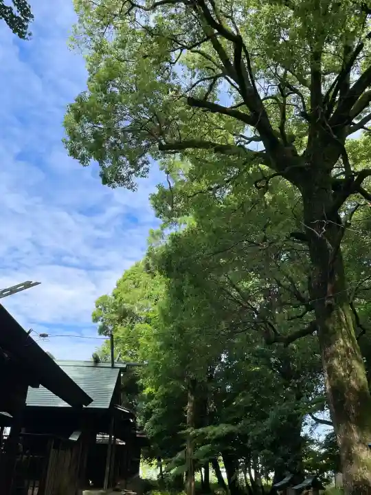 鞆江神社(明地)(愛知県)