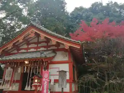 天開稲荷社の本殿・本堂