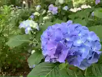 長谷寺(長野県)