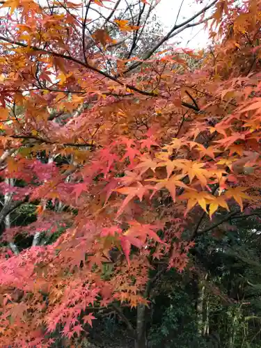 羅漢寺の景色