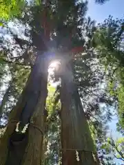 河口浅間神社(山梨県)