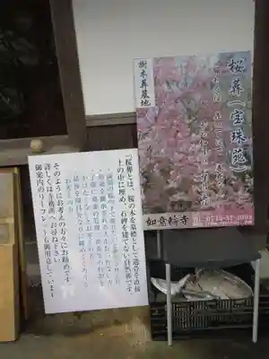 如意輪寺の歴史