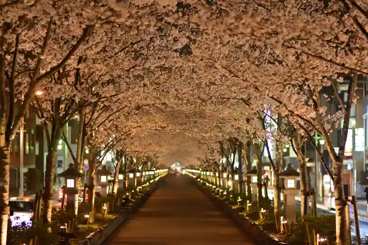鶴岡八幡宮(神奈川県)