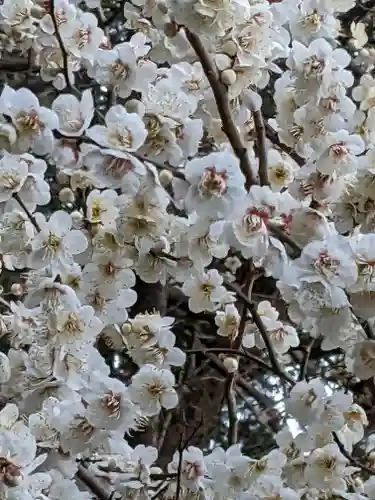 玉眞院玉川大師の庭園