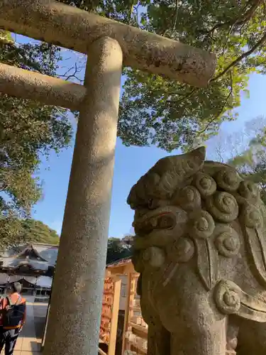 酒列磯前神社の狛犬