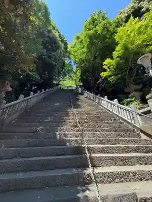 愛宕神社の{uncategorized: "未分類", other: "その他", undefined: "問題あり", building: "その他建物", grave: "お墓", sacred_gate: "鳥居", guardian: "狛犬", statue: "像", buddha: "仏像", history: "歴史", nature: "自然", garden: "庭園", animal: "動物", pagoda: "塔", temizu: "手水舎", mountain_gate: "山門・神門", sanctuary: "本殿・本堂", subordinate: "末社・摂社", art: "芸術", scenery: "景色", jizo: "地蔵", ema: "絵馬", goshuin: "御朱印", omikuji: "おみくじ", items: "授与品その他", amulet: "お守り", goshuincho: "御朱印帳", eats: "食事", festival: "お祭り", votive_dance: "神楽", shichigosan: "七五三参", wedding: "結婚式", experience: "体験その他", initially: "初詣", around: "周辺", anti_infection: "感染症対策"}