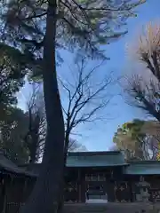 荻窪八幡神社(東京都)