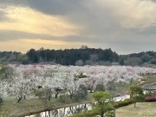 常磐神社の景色