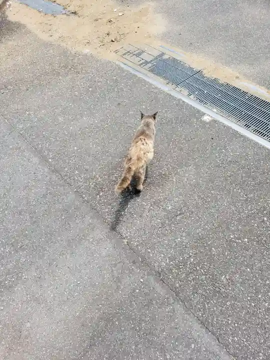 成田山新勝寺(千葉県)