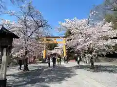 平野神社の鳥居