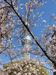 牛嶋神社の建物その他