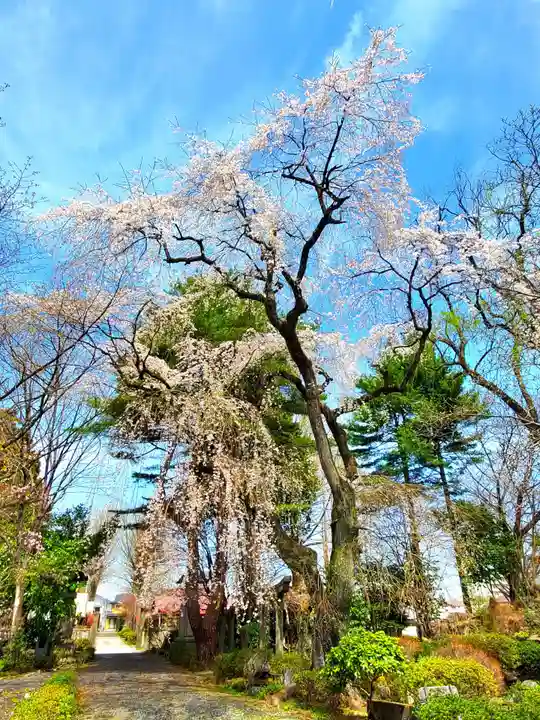 関川寺(福島県)