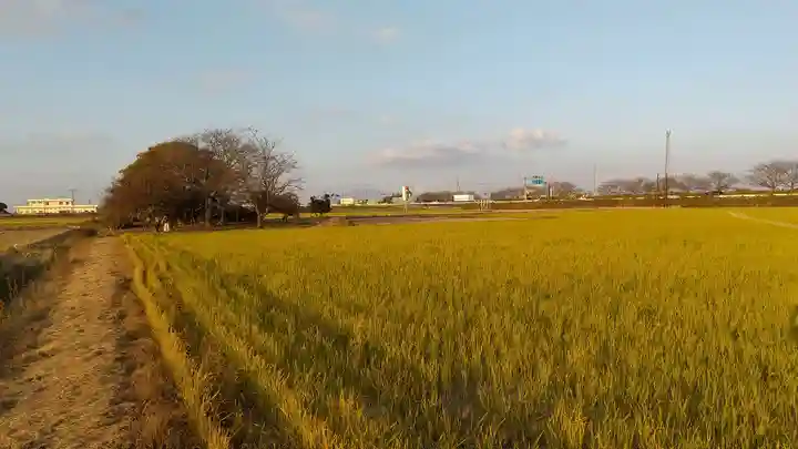 相野谷八幡神社の周辺