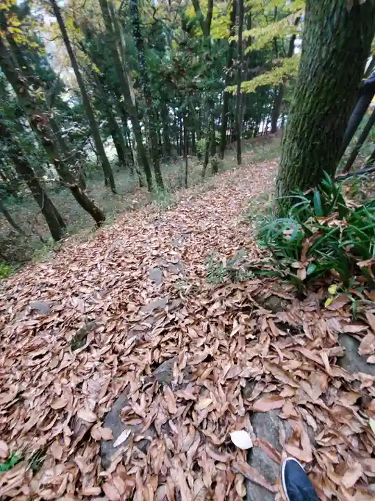 嘉多山稲荷(栃木県)