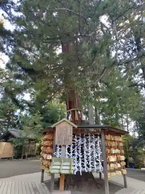 大崎八幡宮の{uncategorized: "未分類", other: "その他", undefined: "問題あり", building: "その他建物", grave: "お墓", sacred_gate: "鳥居", guardian: "狛犬", statue: "像", buddha: "仏像", history: "歴史", nature: "自然", garden: "庭園", animal: "動物", pagoda: "塔", temizu: "手水舎", mountain_gate: "山門・神門", sanctuary: "本殿・本堂", subordinate: "末社・摂社", art: "芸術", scenery: "景色", jizo: "地蔵", ema: "絵馬", goshuin: "御朱印", omikuji: "おみくじ", items: "授与品その他", amulet: "お守り", goshuincho: "御朱印帳", eats: "食事", festival: "お祭り", votive_dance: "神楽", shichigosan: "七五三参", wedding: "結婚式", experience: "体験その他", initially: "初詣", around: "周辺", anti_infection: "感染症対策"}