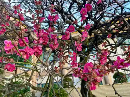 眞性寺の{uncategorized: "未分類", other: "その他", undefined: "問題あり", building: "その他建物", grave: "お墓", sacred_gate: "鳥居", guardian: "狛犬", statue: "像", buddha: "仏像", history: "歴史", nature: "自然", garden: "庭園", animal: "動物", pagoda: "塔", temizu: "手水舎", mountain_gate: "山門・神門", sanctuary: "本殿・本堂", subordinate: "末社・摂社", art: "芸術", scenery: "景色", jizo: "地蔵", ema: "絵馬", goshuin: "御朱印", omikuji: "おみくじ", items: "授与品その他", amulet: "お守り", goshuincho: "御朱印帳", eats: "食事", festival: "お祭り", votive_dance: "神楽", shichigosan: "七五三参", wedding: "結婚式", experience: "体験その他", initially: "初詣", around: "周辺", anti_infection: "感染症対策"}