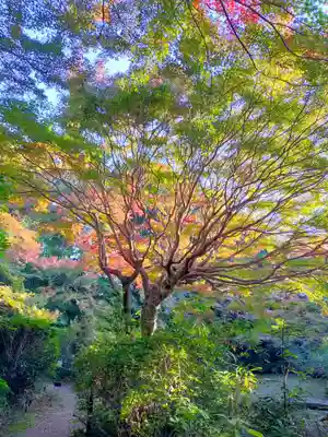 不退寺(奈良県)