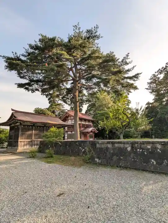 天津神社の{uncategorized: "未分類", other: "その他", undefined: "問題あり", building: "その他建物", grave: "お墓", sacred_gate: "鳥居", guardian: "狛犬", statue: "像", buddha: "仏像", history: "歴史", nature: "自然", garden: "庭園", animal: "動物", pagoda: "塔", temizu: "手水舎", mountain_gate: "山門・神門", sanctuary: "本殿・本堂", subordinate: "末社・摂社", art: "芸術", scenery: "景色", jizo: "地蔵", ema: "絵馬", goshuin: "御朱印", omikuji: "おみくじ", items: "授与品その他", amulet: "お守り", goshuincho: "御朱印帳", eats: "食事", festival: "お祭り", votive_dance: "神楽", shichigosan: "七五三参", wedding: "結婚式", experience: "体験その他", initially: "初詣", around: "周辺", anti_infection: "感染症対策"}