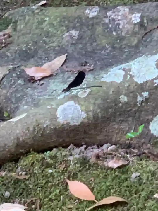 村屋坐弥冨都比売神社(奈良県)