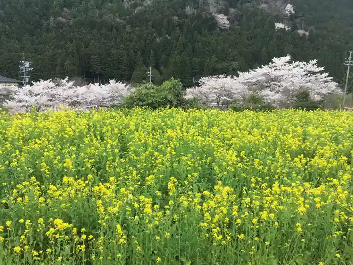 三千院門跡の自然
