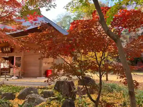 淨眞寺(東京都)