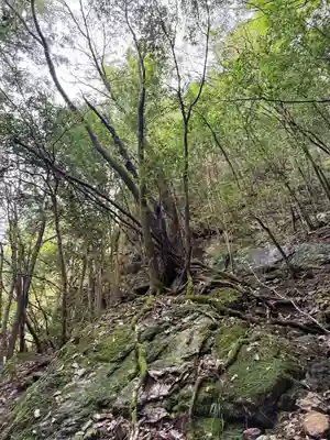 聖神社(高知県)