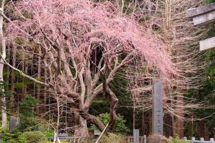 函館八幡宮(北海道)