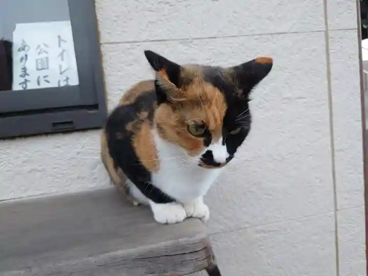 金蔵寺(千葉県)