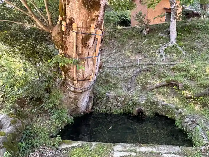 小江神社(兵庫県)