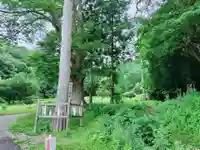 諏訪大社上社前宮(長野県)