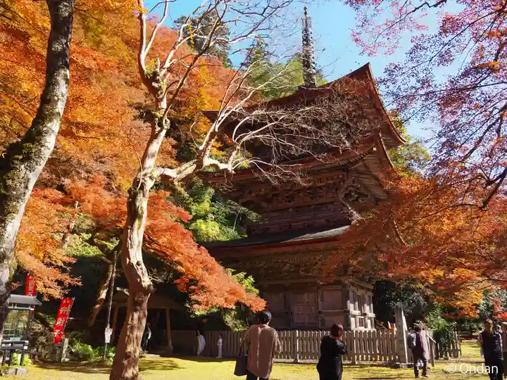 金剛院(京都府)