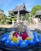 真言宗 善通寺派 薬王寺の手水舎