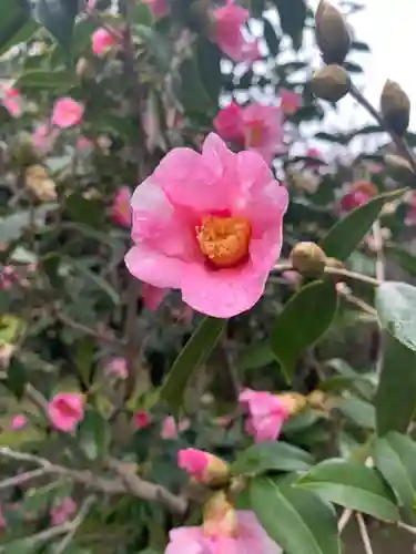 城南宮(京都府)