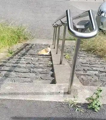 男浅間神社の周辺