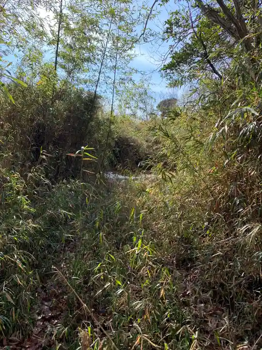 浅間神社の自然
