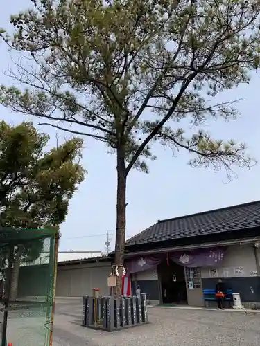 別小江神社のその他建物