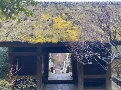 杉本寺の山門