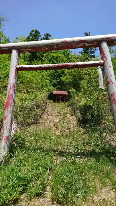 白山神社の鳥居