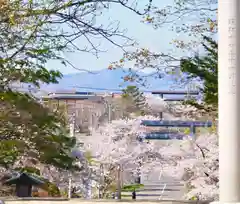 岩内神社の自然