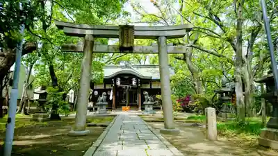 津守神社の鳥居
