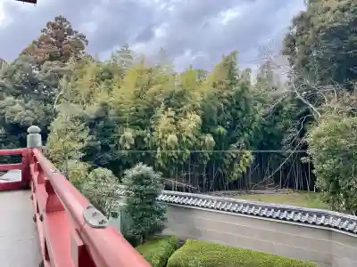 成田山平和大塔(千葉県)