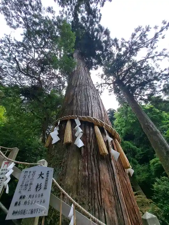 鞍馬寺(京都府)