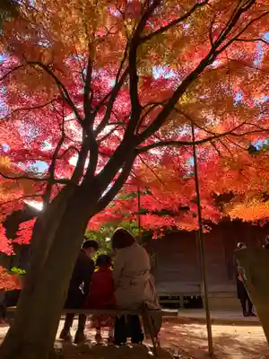 滑川神社 - 仕事と子どもの守り神(福島県)