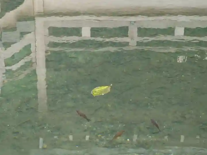 深大寺(東京都)