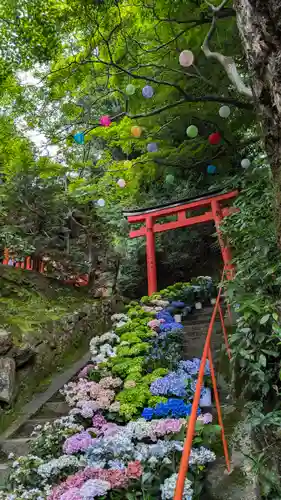 柳谷観音　楊谷寺(京都府)