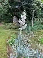 国上寺(新潟県)