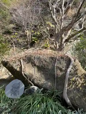 明月院(神奈川県)