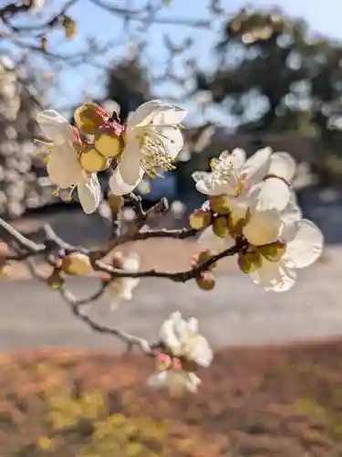 福蔵院(東京都)